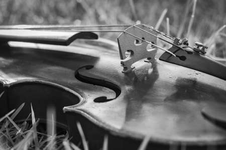 A greyscale closeup of a violin laying on a dry grass with a blurry backgroundの写真素材