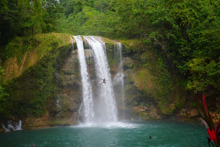 A beautiful waterfall and a lake in a jungle