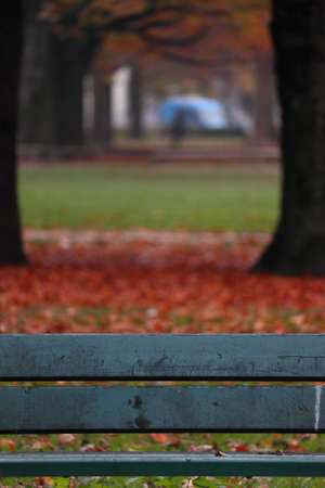 A wooden bench in a park surrounded by colorful leaves and trees during autumnの写真素材