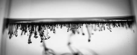 A greyscale shot of beautiful patterns formed from the black smokeの写真素材