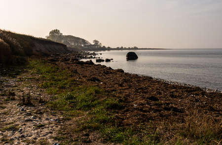 A beautiful view of the muddy beach by the calm ocean with the trees in the distance