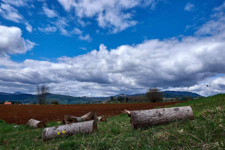 A field covered in cut tree trunks and grass with hills under the cloudy sky on the background
