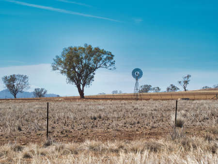 A field covered in grass and trees with hills on the blurry background under sunlight