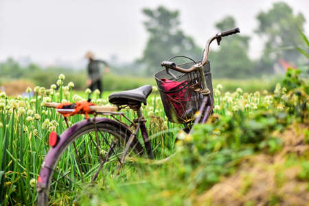 A selective closeup shot of a bicycle in the green field with a blurred backgroundの写真素材