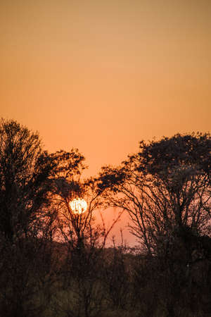A vertical shot of the sun setting over a dry field during the night timeの写真素材