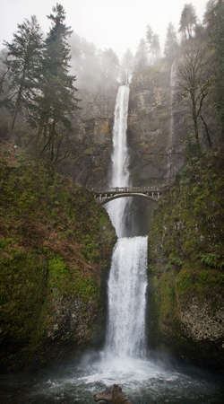 A vertical low  angle shot of a concrete bridge in front of a waterfall surrounded by a lot of treesの写真素材
