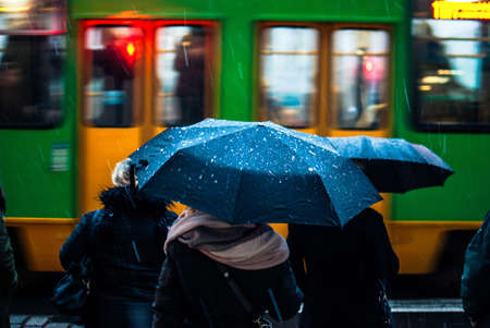 A group of people holding umbrellas standing near the street under the snowの写真素材