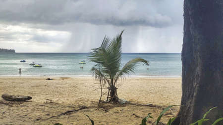 A beach surrounded by greenery and the sea on the background under a cloudy skyの写真素材