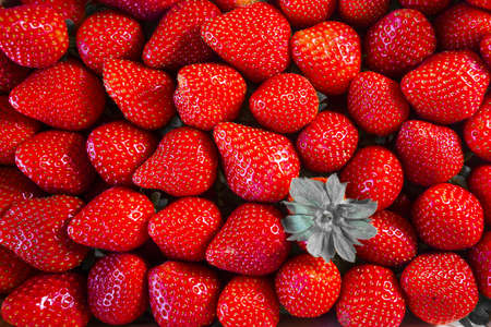 A closeup shot of delicious fresh red strawberriesの写真素材