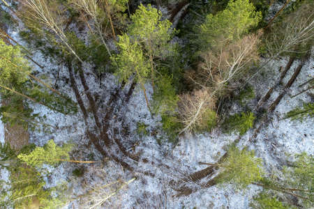 An overhead shot of an agricultural field in the countryside