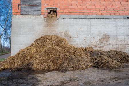 animalÂ´s muck  at a farm in Reichelsheimの写真素材