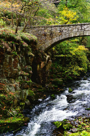 A river surrounded by rocks covered in greenery in a forest with a stone bridge under sunlightの写真素材