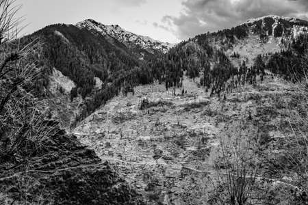 A grayscale shot of mountainsの写真素材