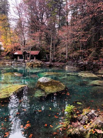 The Blausee lake surrounded by greenery reflecting on the water covered in fog in Switzerlandの写真素材