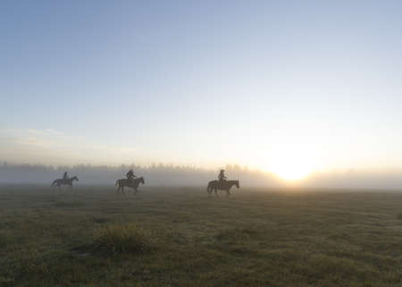 A group of horsemen in a grassy field with a foggy background during sunsetの写真素材