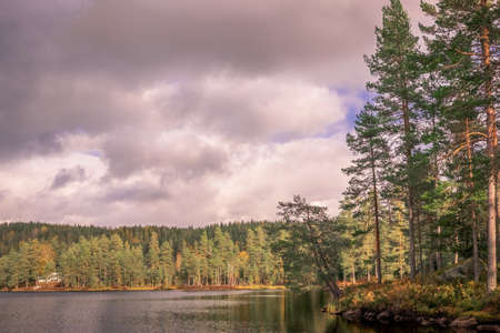 The lake near the forest under the dark cloudy skyの写真素材