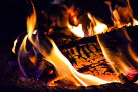 A closeup of the flames of a campfire with a blurry background during the nightの写真素材