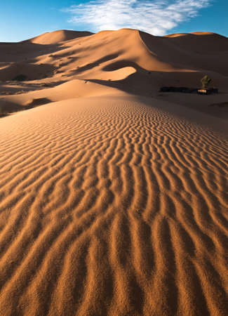 A vertical shot of the patterns on the beautiful sand dunes in the desert