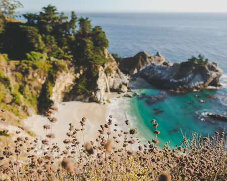 A selective focus shot of dry grass with a blurred sea and cliff in the background