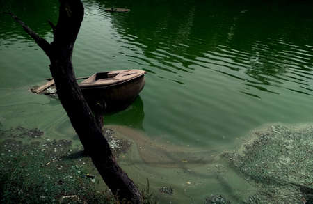 A dirty lake with boats in it surrounded by greenery and stones during daytimeの写真素材