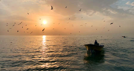 A male in a small rowboat in the middle of the beautiful sea with the sun shining in the background and birds all aroundの写真素材
