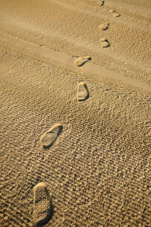 A vertical shot of footprints in the sand on a beachの写真素材