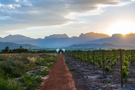 WORCESTOR, SOUTH AFRICA - Nov 01, 2017: Bosjes Wedding Chapel in Worcestor, Western Cape, South Africa. Designed by Coetzee Steyn o Steyn Studioのeditorial素材