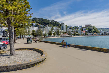 WELLINGTON, NEW ZEALAND - Dec 09, 2019: Oriental bay in wellington showing the footpath, city, bay, apartment buildings all with a lovely blue sky and calm waterのeditorial素材