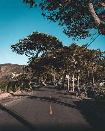 RIO DE JANEIRO, BRAZIL - Jan 11, 2020: Beautiful road on a beach in Rio de Janeiro, lots of treesのeditorial素材