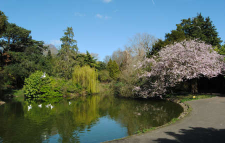 BATH, ENGLAND, UNITED KINGDOM - Mar 25, 2019: The Botanical Gardens, Royal Victoria Park, Bath,...