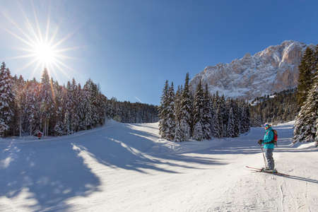 A ski player standing by a snow covered path surrounded by treesのeditorial素材