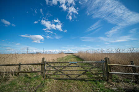 A beautiful shot of a path in the wild field isolated by a wooden fence under the bright blue skyのeditorial素材