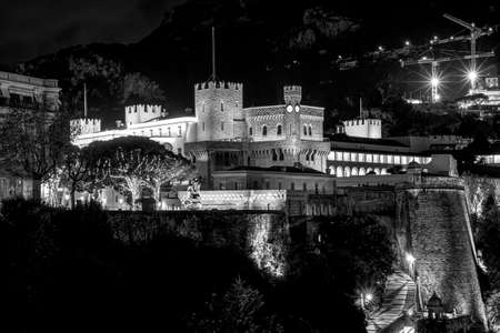 A greyscale shot of a large castle at nightのeditorial素材
