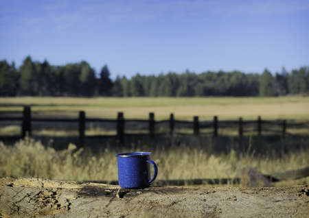 A camping mug sits on a log.の写真素材