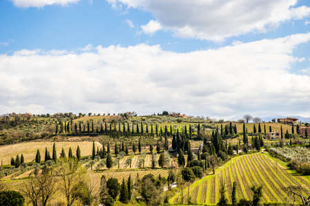 A beautiful shot of grassy field and trees under a blue cloudy sky at day timeの写真素材
