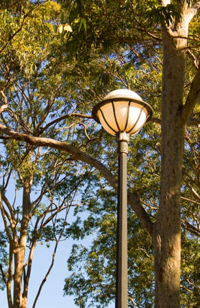 A vertical shot of a street light with the trees in the backgroundの写真素材