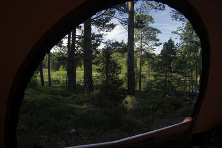 A forest view as seen through a tent entrance