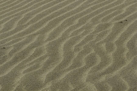 A closeup of sand in the beach under the sunlight - a nice picture for wallpapers and backgrounds