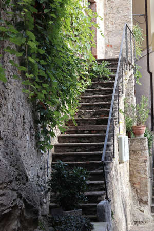 A vertical shot of stairs, green vines on the white wall and two plant potsの写真素材