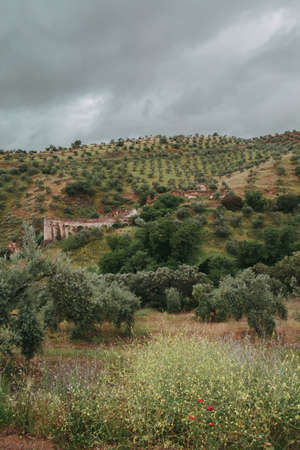 A green landscape with a lot of green trees and mountains under the storm cloudsの写真素材