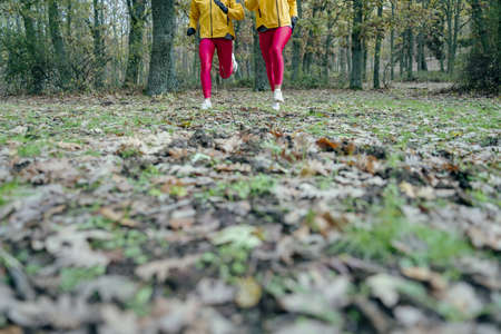 An amazing shot of two women in yellow jackets and pink leggings jogging in a forest on a gloomy dayの写真素材