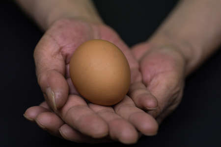 A closeup shot of a middle-aged woman's hands holding an eggの写真素材