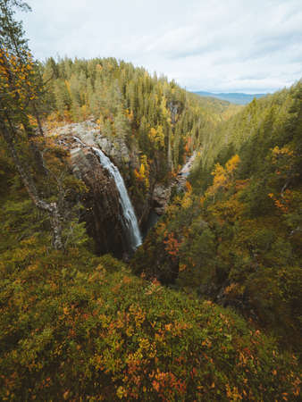 A vertical shot of a waterfall surrounded by a lot of trees with autumn colors in Norwayの写真素材