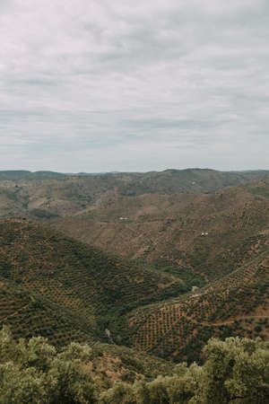 A vertical high angle shot of a range of mountains with green trees under the cloudy sky