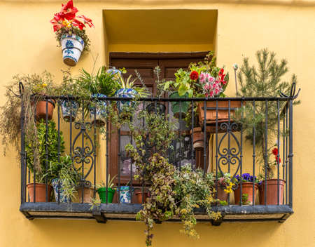 A stunning view of a balcony with pots full of beautiful flowers and plants from a yellow houseの写真素材