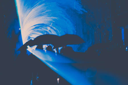 A blue colored beam of light with tunnel effect and silhouette of umbrellas during a rain showerの写真素材
