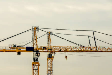 A closeup shot of yellow cranes with a light-colored backgroundの写真素材