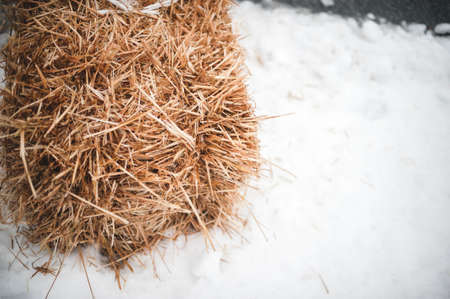 A stack of dry grass on a surface covered with snowの写真素材