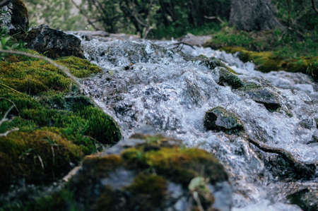 A closeup shot of the water flowing through the mossy groundの写真素材