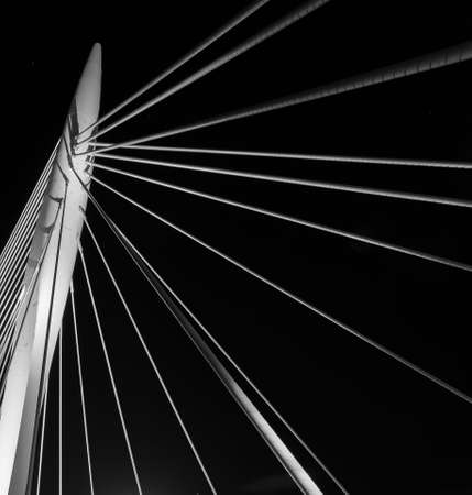 A grayscale shot of cables supporting a bridge on a dark backgroundの写真素材